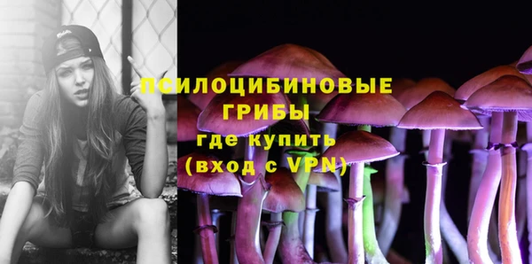 меф Арсеньев