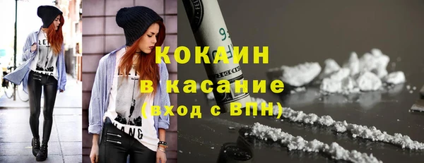дживик Аркадак