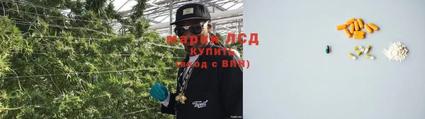 дживик Аркадак