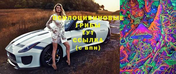 метадон Армянск