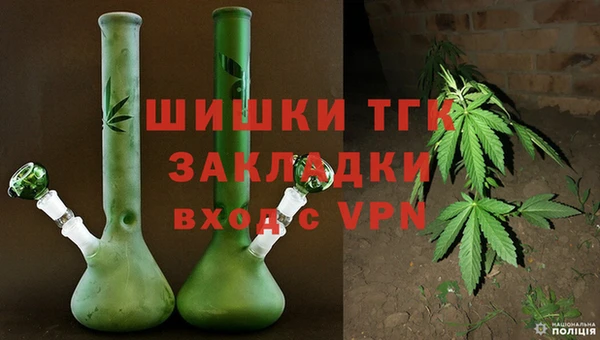 дживик Аркадак