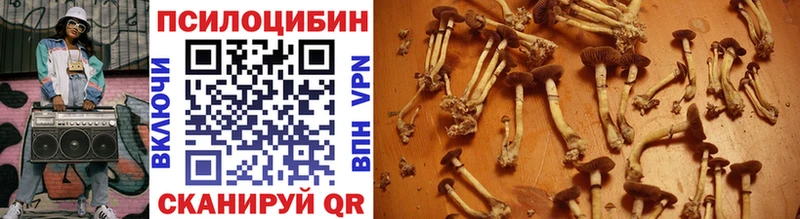 Галлюциногенные грибы мухоморы  Бузулук 